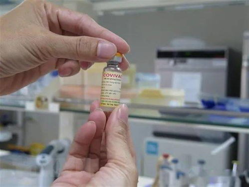 今日新增11172例 越南力争2021年底将国产疫苗投入使用,富国成为越南首个接待国际游客的旅游目的地