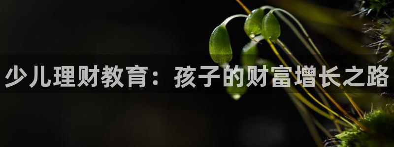 fh至尊平台网页地址