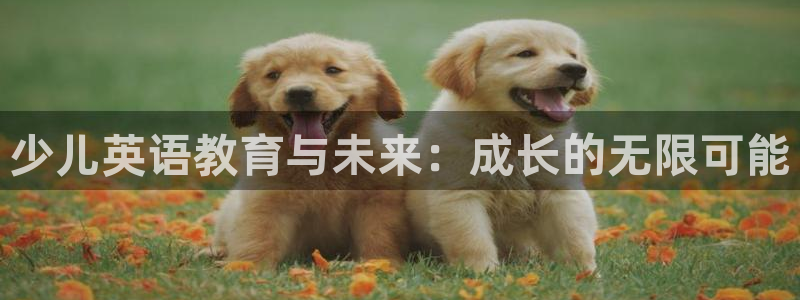 fh至尊什么意思