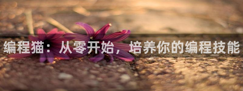 FH至尊出问题了