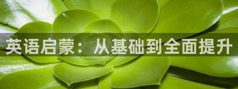 fh至尊是什么牌子