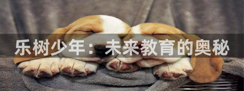 fh至尊普通登录