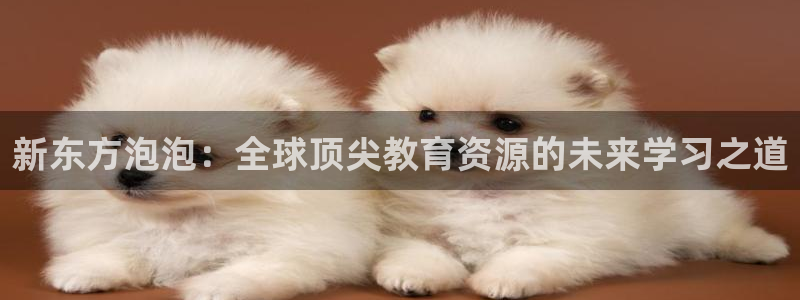 FH至尊平台老板是谁