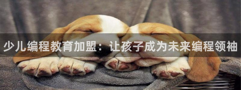 FH至尊是什么意思