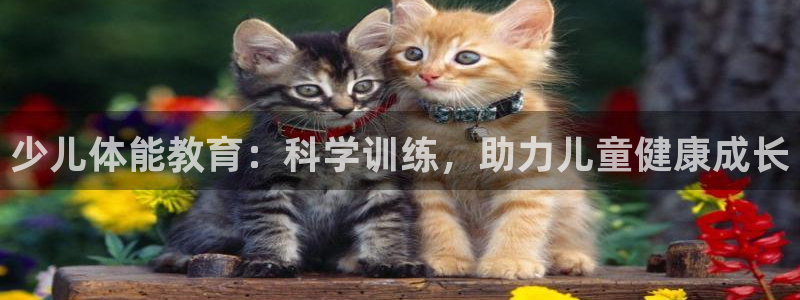 fh至尊普通登录