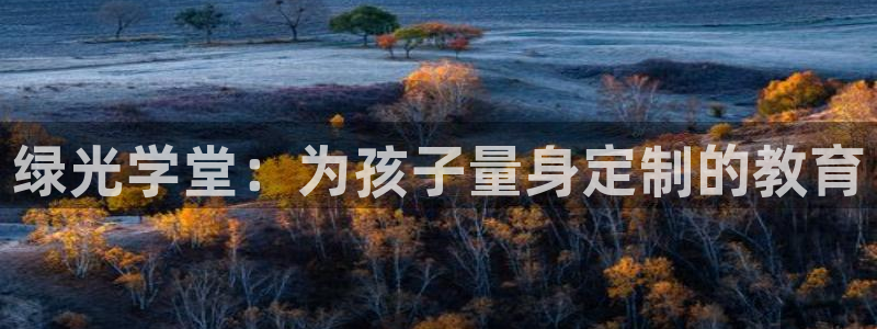 fh至尊是凤凰平台么