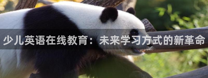 fh至尊平台登录注册