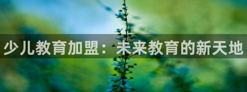 fh至尊怎么安装