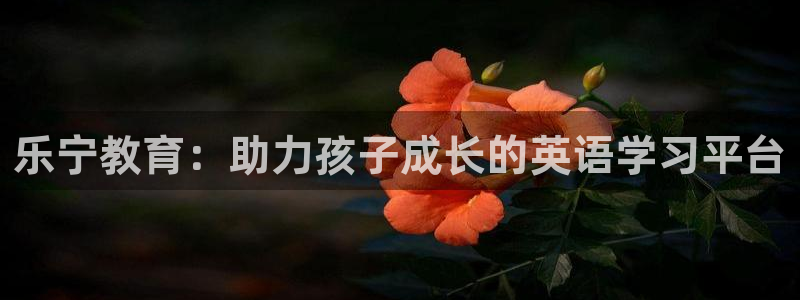 fh至尊平台怎么打不开了呢