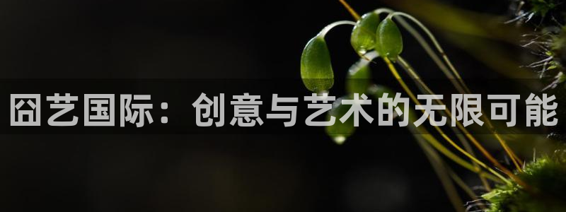 fh至尊最新版本