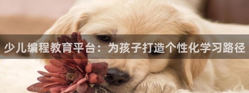 fh至尊游戏彩票