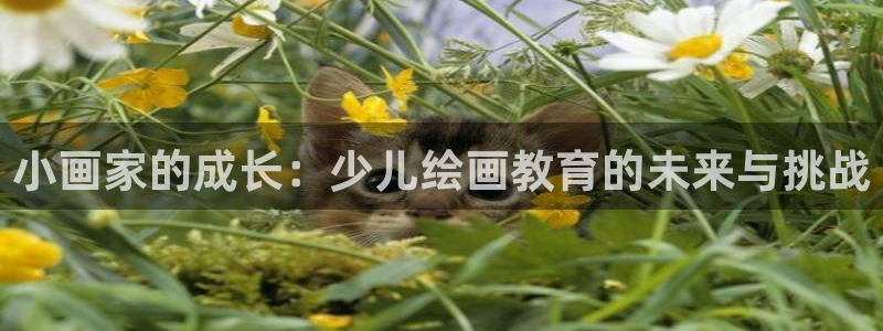 fh至尊凤凰平台下载