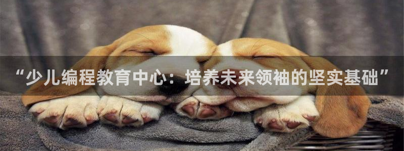 fh凤凰至尊平台