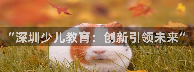 FH至尊信誉怎么样