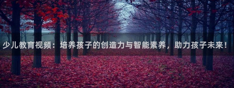 FH至尊隶属哪家公司