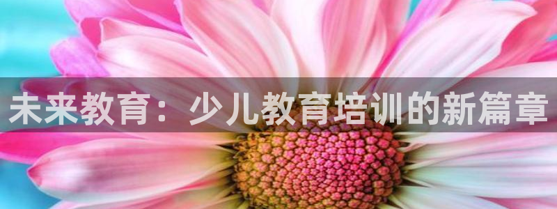 fh至尊普通登录