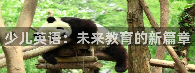 fh至尊手机端进不去