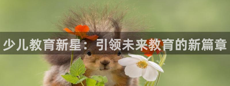 FH至尊平台怎么样