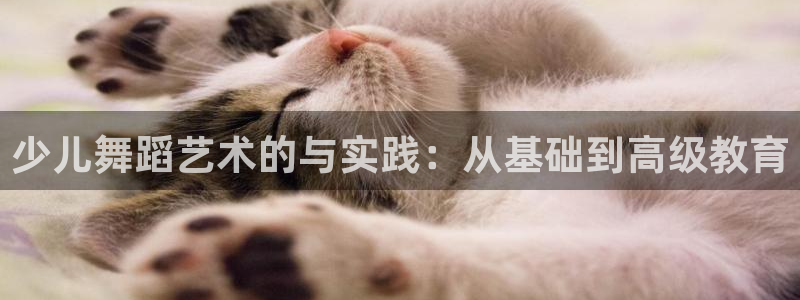 fh至尊是黑台子吗