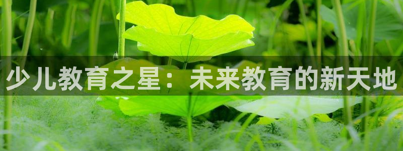 FH至尊隶属哪家公司