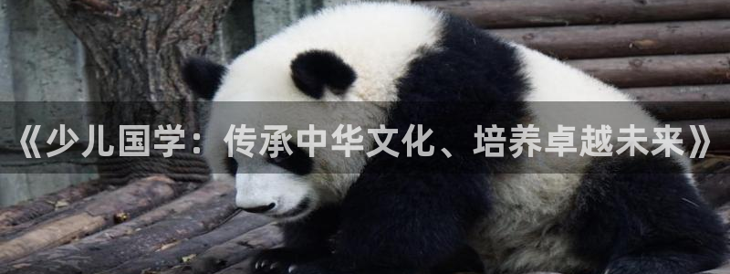 FH至尊出问题了