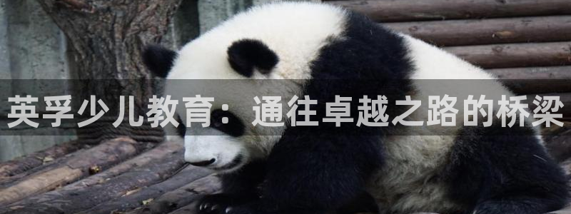 fh至尊正常登录