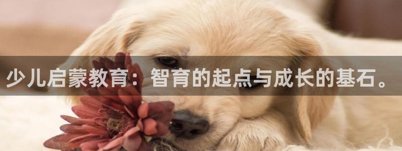 FH至尊平台怎么样