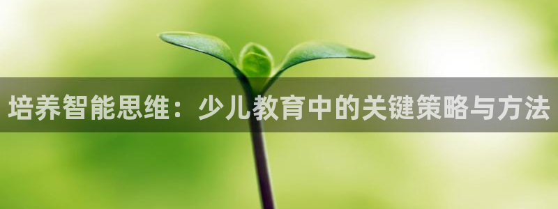 FH至尊是正规平台吗