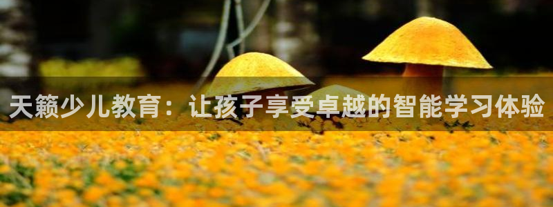 凤凰娱乐FH至尊地址