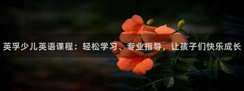 FH至尊平台登录