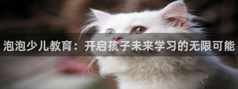 fh至尊多少年了