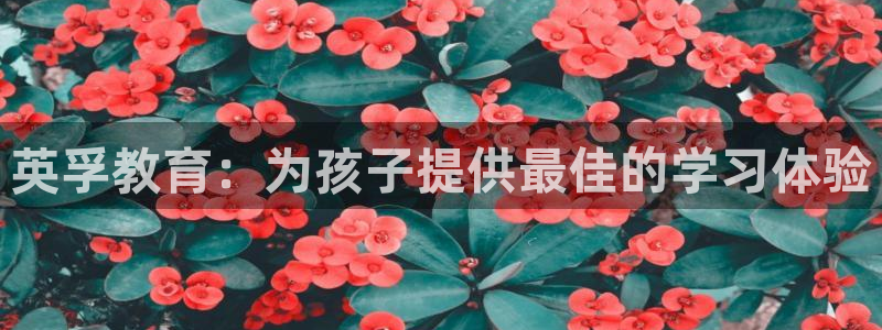 fh至尊是不是假的