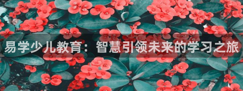fh至尊冻结