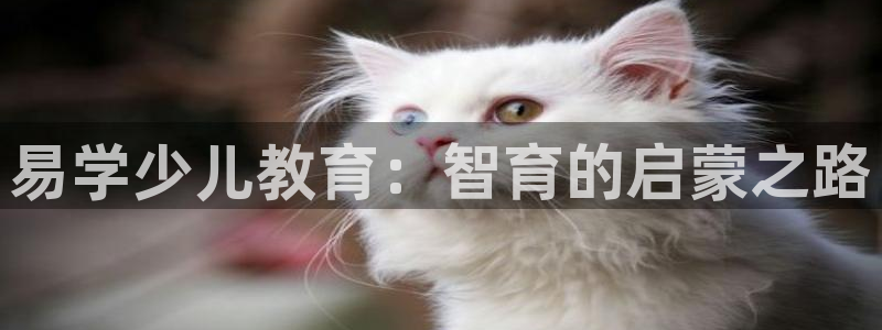 fh至尊凤凰代理